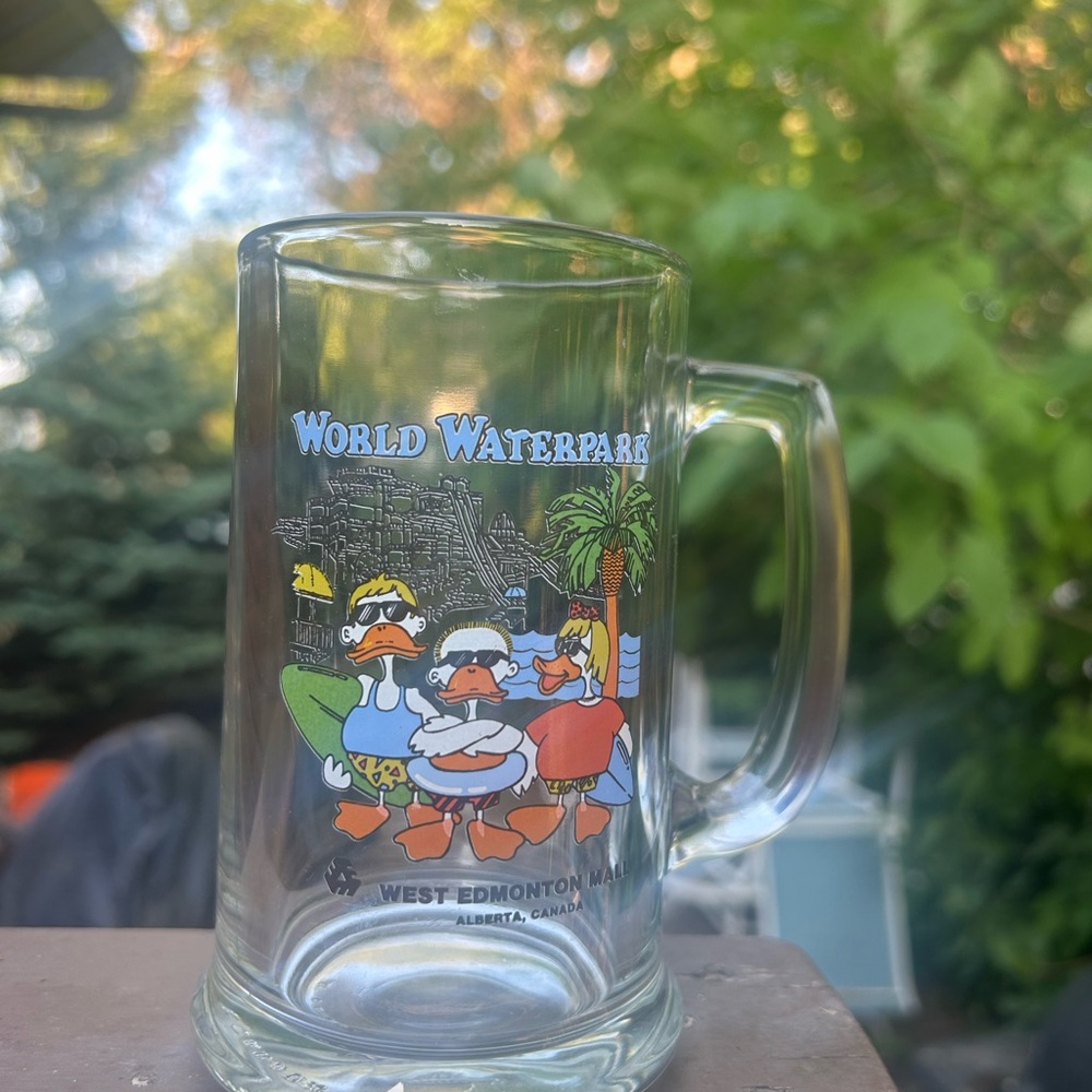Vintage Edmonton mall World Waterpark Glass Mug